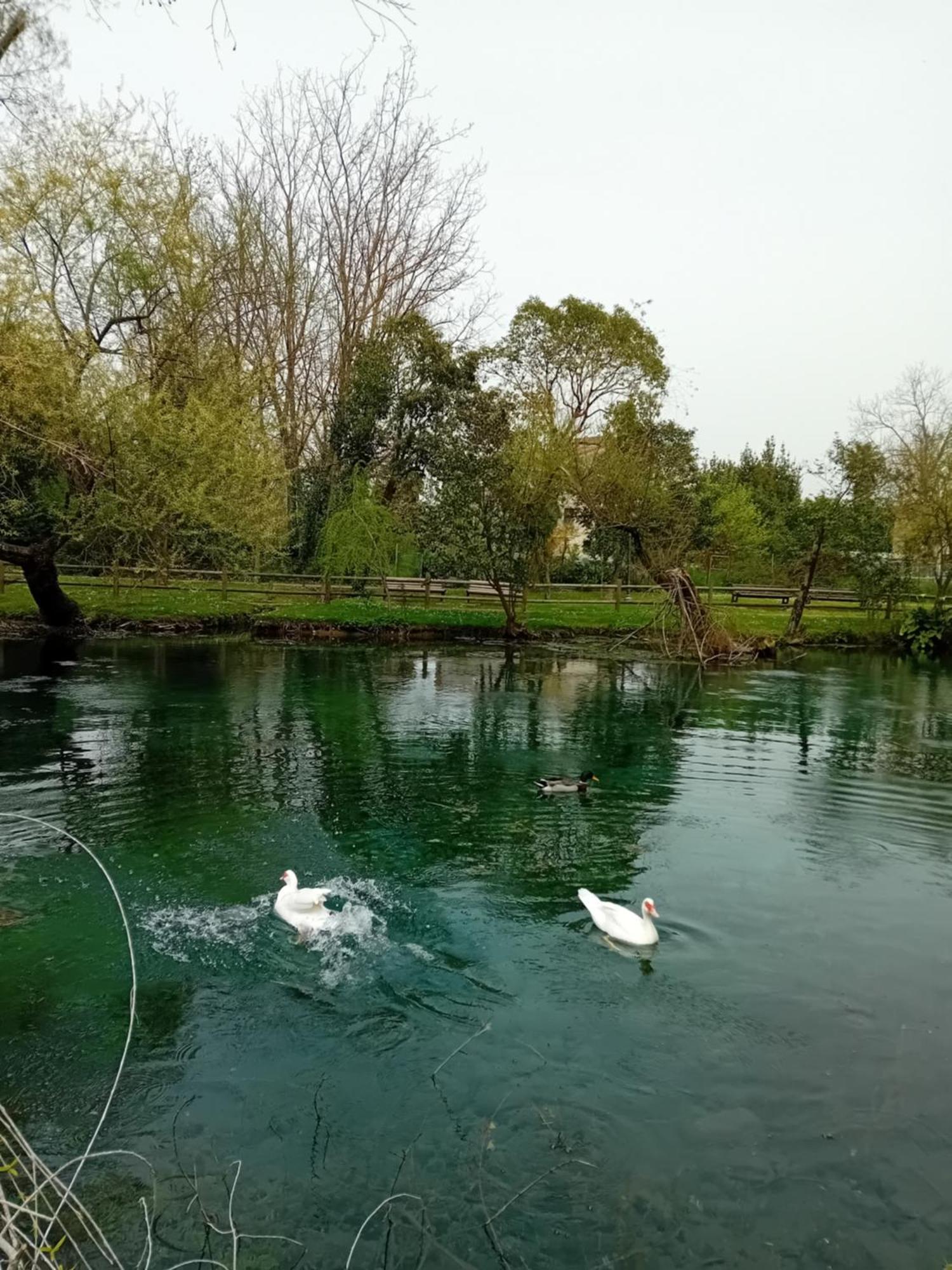 Bella Di Notte Διαμέρισμα San Giorgio a Liri Εξωτερικό φωτογραφία
